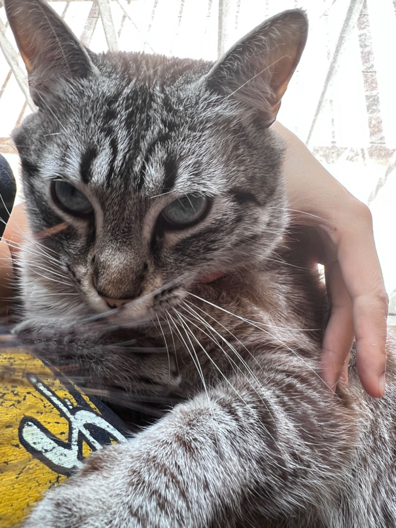 硅谷独角兽公司薪酬趋势 - 深度指南 - 北美指南-北美指南