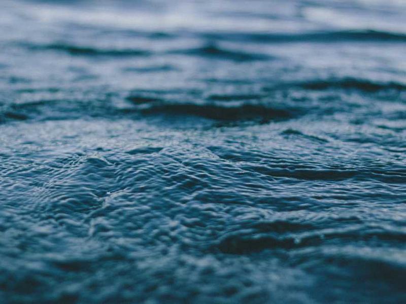 跨国恋爱情故事 - 深度指南 - 北美指南-北美指南