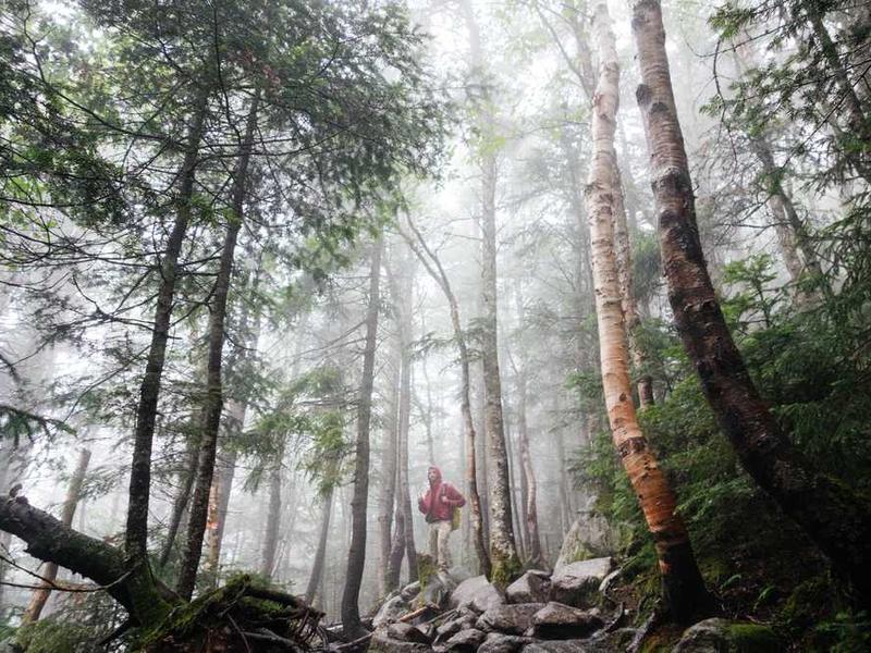 俄克拉荷马州兼职副业：石油物流行业与线上副业结合 - 深度指南 - 北美指南-北美指南
