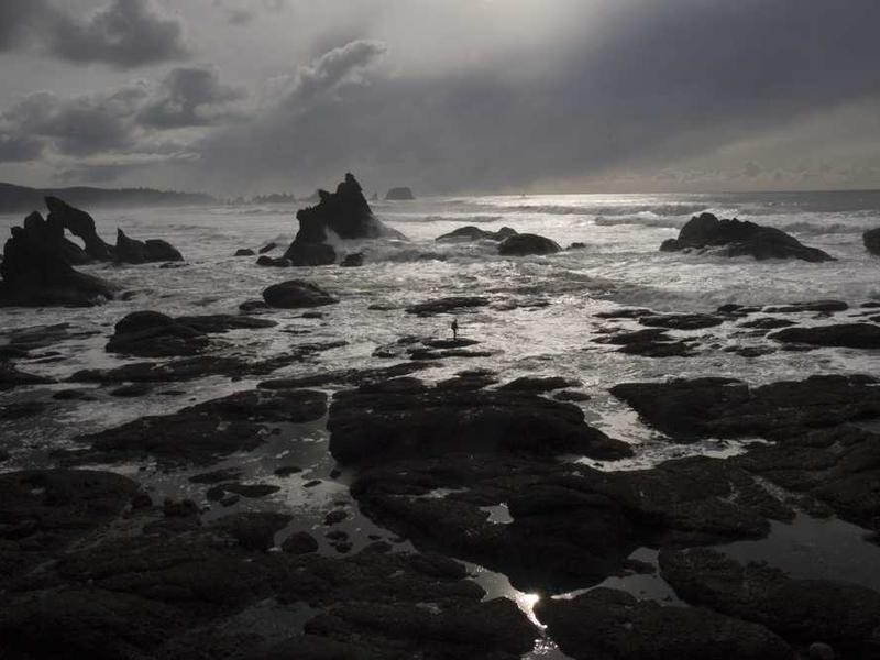 移民政策新规：绿卡申请费用上涨了吗 - 深度指南 - 北美指南-北美指南