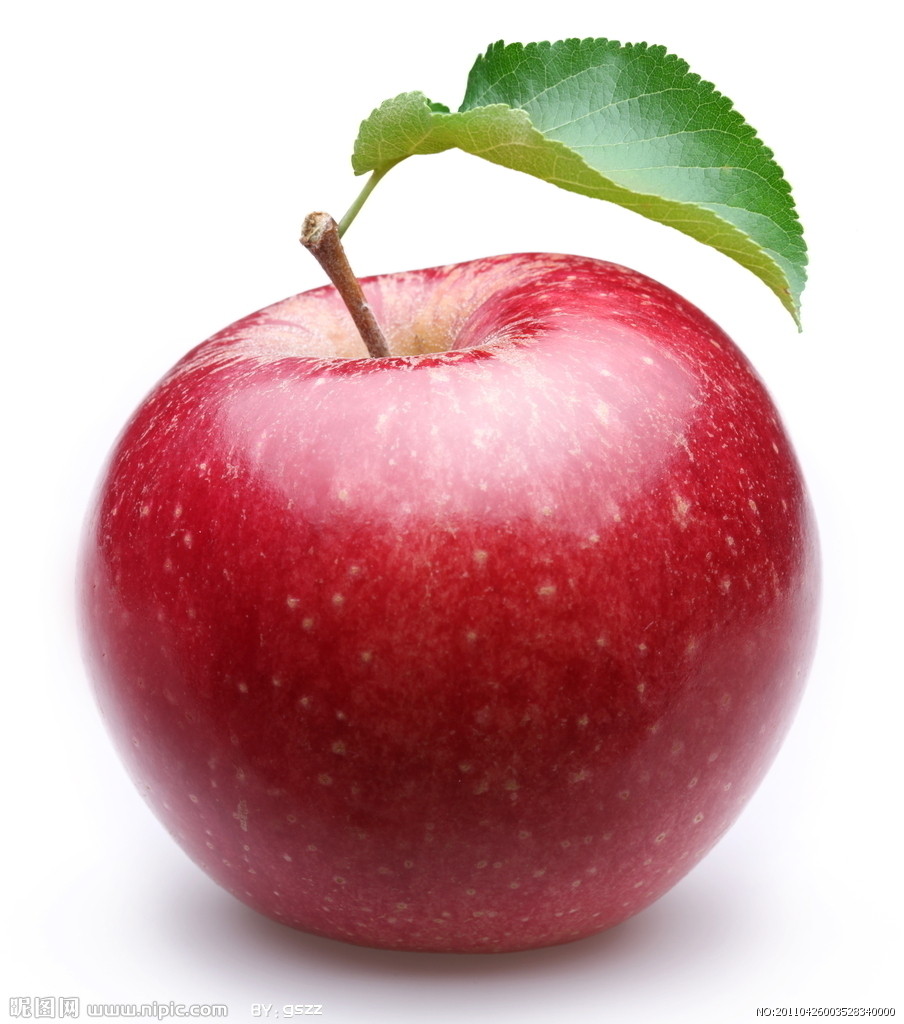 apple，作者北美指南-北美指南