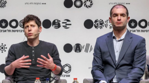 跨国恋爱情故事 - 深度指南-北美指南