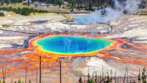 被罚11万元!跳槽员工忘关屏幕共享,向Nvidia展示窃取源码,遭前东家当场抓获-北美指南