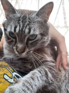 硅谷独角兽公司薪酬趋势 - 深度指南-北美指南