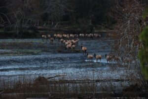 美国留学期间如何节省生活开支 - 深度指南-北美指南