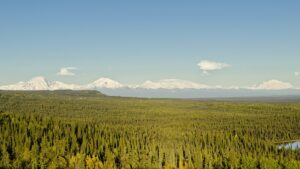 德州兼职副业指南:高收入灵活兼职与远程工作机会 - 深度指南-北美指南