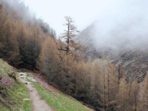 美国女性与男性薪资差距 - 深度指南-北美指南