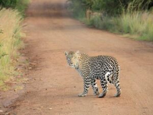 在美家庭如何买房存钱 – 深度指南-北美指南