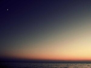 从王自如到董宇辉，互联网年轻人在愤怒什么-北美指南