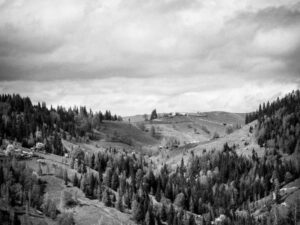 远程工作与收入差距 - 深度指南-北美指南