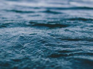 跨国恋爱情故事 - 深度指南-北美指南