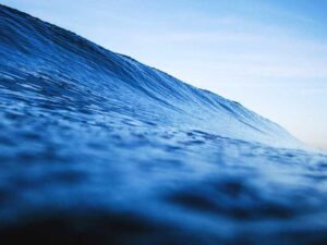 AI 行业最新动态 – 深度指南-北美指南