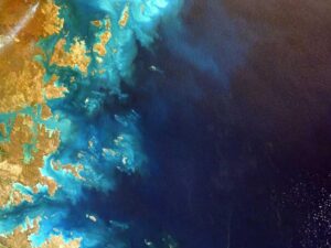 I-485 绿卡申请全流程:体检、工卡、回美证与排期说明 - 深度指南-北美指南