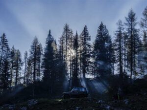佛罗里达兼职副业项目:旅游城市也能做的高薪副业 - 深度指南-北美指南