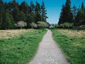 OPT 求职指南 - 深度指南-北美指南