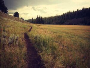 每天一个心理学小知识:邓宁·克鲁格效应-北美指南