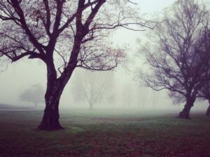 Los Angeles travel tips - Practical Guide-北美指南