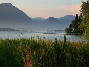 大城市房租涨幅对比与合理居住地推荐 - 深度指南-北美指南