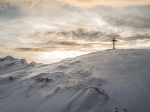 硅谷科技公司趋势 - 深度指南-北美指南