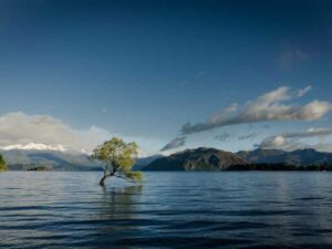 CPT 实习经验 - 深度指南-北美指南