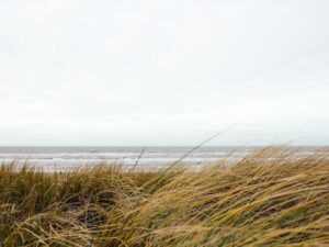 美国集运专线-实重计费(不分普货/敏感货)-北美指南