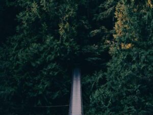 如何提升求职薪资 - 深度指南-北美指南