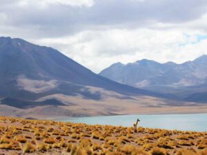 美国副业赚钱机会 - 深度指南-北美指南
