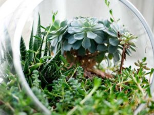 美国绿卡申请流程 - 深度指南-北美指南