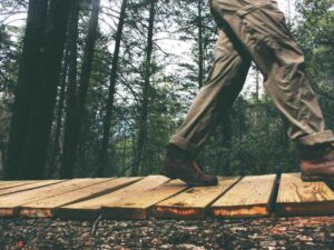 最新美国签证政策变动对助教收入的影响 - 深度指南-北美指南