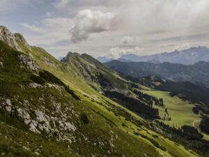 Mount Rainier National Park: Washington Snow Mountains and Wildflowers Drive - Complete Guide-北美指南