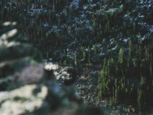 如何平衡移民后的收入与开支 - 深度指南-北美指南