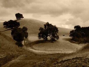 Channel Islands National Park: California Offshore Driving and Boat Trip - Complete Guide-北美指南