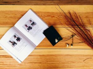 Voyageurs National Park: Minnesota Lakes Road Trip and Canoe Experience - Complete Guide-北美指南