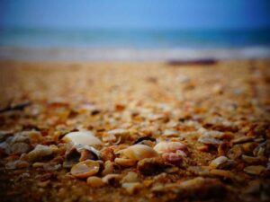 硅谷工资 VS 纽约工资 - 深度指南-北美指南