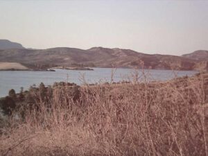 美国婚姻绿卡申请 – 深度指南-北美指南