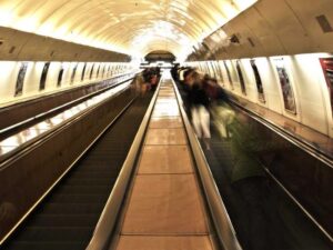 Redwood National Park: California Giant Tree Forest Road Adventure - Complete Guide-北美指南