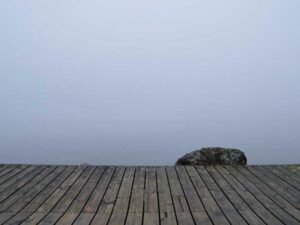 美国热门行业投资机会 - 深度指南-北美指南