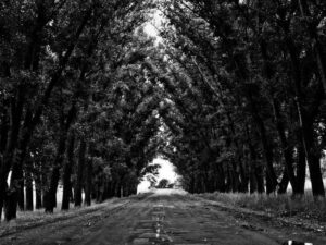 为什么MSTR符合庞氏骗局的特征-北美指南