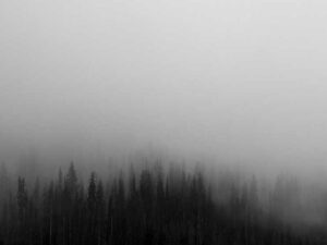 美国远程自由职业者收入情况 - 深度指南-北美指南