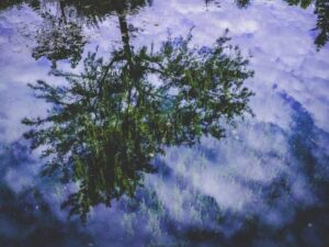 “石墨烯驾驭者”、95后天才少年曹原将赴加州大学伯克利分校任教-北美指南