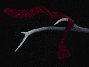 H1B 转绿卡经验 - 深度指南-北美指南