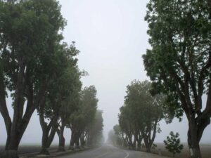 利用 AI 自动化市场营销：内容生成、社媒管理与广告优化 - 深度指南-北美指南