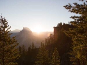 心理弹性:面对挑战时的隐形盾牌-北美指南