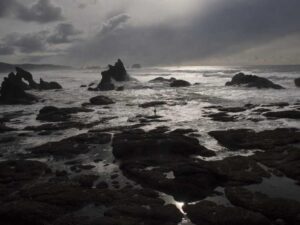 移民政策新规：绿卡申请费用上涨了吗 - 深度指南-北美指南