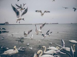 留学期间如何省钱 - 深度指南-北美指南