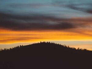 在美如何谈薪资 - 深度指南-北美指南