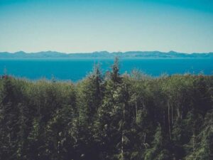 在美开车流程 - 深度指南-北美指南