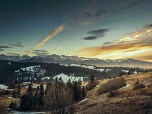 H1B 转绿卡经验 - 深度指南-北美指南