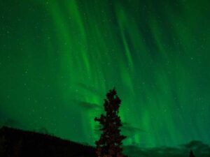 北美大厂码农工资有多少?北美大厂码农薪资报告-北美指南