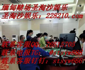 缅甸换区国际赌场线上开户TG✈️:@stsyw888-北美指南